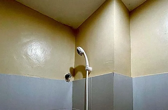 Flogel House *